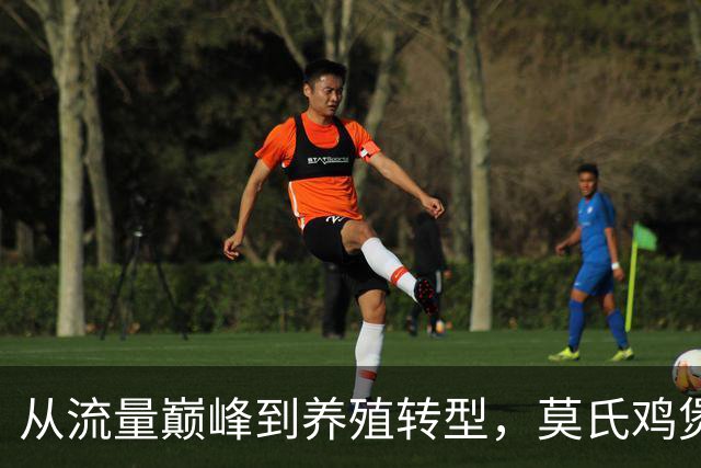 从流量巅峰到养殖转型，莫氏鸡煲的逆袭之路